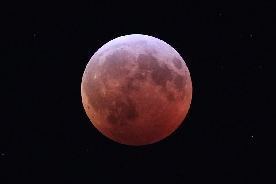 Super Flower Blood Moon & Eclipse~May 2021 | Christine Esdaile